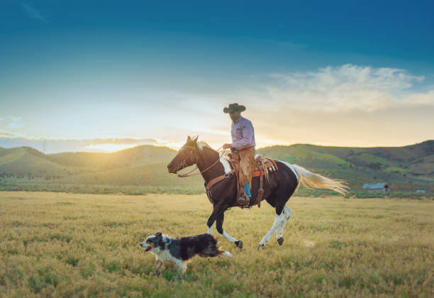 Senior cowboy horseback riding